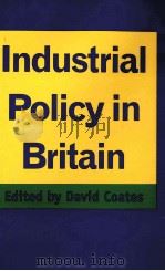 Industrial Policy in Britain   1996  PDF电子版封面  0312157975   