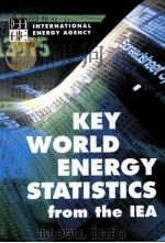 DEY WORLD ENERGY DTATISTICS FROM THE IEA     PDF电子版封面     