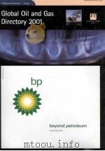 Global Oil And Gas Directory 2001（ PDF版）