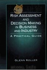 RISK ASSESSMENT AND DECISION MAKING IN BUSINESS AND INDUSTRY:A PRACTICAL GUIDE     PDF电子版封面  9780849302688   