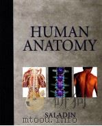 HUMAN ANATOMY（ PDF版）