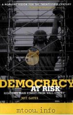 DEMOCRACY AT RISK  RESCUING MAIN STREET FROM WALL STREET     PDF电子版封面  0738204838  JEFF GATES著 