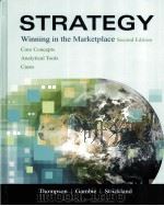 STRATEGY  WINNING IN THE MARKETPLACE  SECOND EDITION     PDF电子版封面  0073203130  ARTHUR A.THOMPSON著 