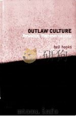 OUTLAW CULTURE  RESISTING REPRESENTATIONS     PDF电子版封面  0415908116  BELL HOOKS著 