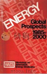ENERGY:Global Prospects 1985-2000  Report of the Workshop on Alternative Energy Strategies     PDF电子版封面  0070718784  Carroll L.Wilson 