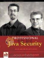 Professional Java Security（ PDF版）