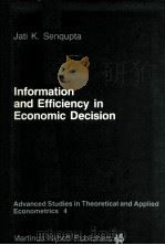 Information and Efficiency in Economic Decision     PDF电子版封面  9024730724  Jati K.Sengupta 