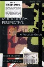 Teaching with a multicultural perspective : a practical guide（ PDF版）