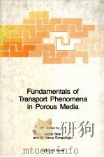 Fundamentals of Transport Phenomena in Porous Media（ PDF版）