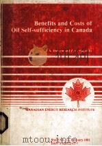 Benefits and Costs of Oilo Self-sufficiency in Canada     PDF电子版封面  0920522157  J.A.Dawson  Z.C.Slagorsky 