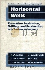 Horizontal Wells  Contributions in Petroleum Geology & Engineering  9     PDF电子版封面  0872015734  R.Aguilera  J.S.Artindale  G.M 