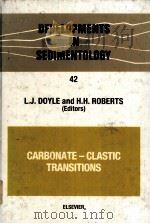 CARBONATE-CLASTIC TRANSITIIONS  DEVELOPMENTS IN SEDIMENTOLOGY 42（ PDF版）