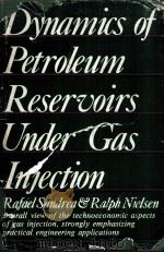 Dynamics of Petroleum Resservoirs Under Gas Injection     PDF电子版封面  0872012190  Rafael Sandrea  Ralph F.Nielse 