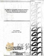 FEASIBILITY ANALYSIS AND DEVELOPMENT OF FOAM-PROTECTED UNDERGROUND NATURAL GAS STORAGE FACILITIES  F     PDF电子版封面     