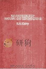 FUNDAMENTALS OF NATURAL GAS CONDITIONING（ PDF版）