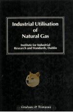 Industrial Utilisatiion of Natural Gas     PDF电子版封面    Chris Davies 