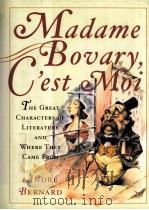 Madame Bovary G'est Moi  The Great Characters of Literature and Where They Came From     PDF电子版封面  0393051811  ANDRE BERNARD 