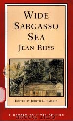 WIDE SARGASSO SEA BACKGROUNDS CRITICISM Jean Rhys     PDF电子版封面  0393960129  JUDITH L.RAISKIN 