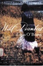 EDNA O'BRIEN  Wild Decembers  A NOVEL     PDF电子版封面  0618126910   