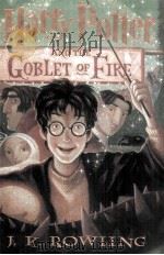 HARRY POTTFR AND THE GOBIET OF FIRE     PDF电子版封面  0439139595  J.K.ROWIING 