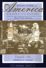 AMERICA  A NARRATIVE HISTORY TINDALL AND SHI  STUDY GUIDE  VOLUME Ⅱ/BRIEF FIFTH EDITION     PDF电子版封面  0393975630  CHARLES W.EAGLES 