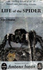 LIFE OF THE SPIDER   1955  PDF电子版封面    JOHN CROMPTON 