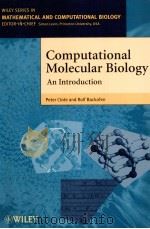 Computational Molecular Biology An Introduction（ PDF版）