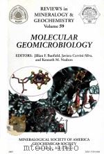 MOLECULAR GEOMICROBIOLOGY  REVIEWS IN MINERALOGY AND GEOCHEMISTRY  VOLUME 59  2005     PDF电子版封面  0939950715  Jillian F.Banfield Javiera Cer 
