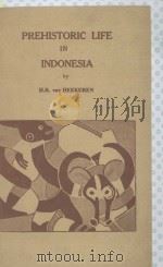 PREHISTORIC LIFE IN INDONESIA:A NEW SHORT GUIDE TO THE PREHISTORIC COLLECTION OF THE LEMBAGA DEBUDAJ   1955  PDF电子版封面     