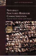 Naturally Fractured Reservoir Characterization（ PDF版）