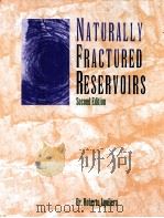 NATURALLY FRACTURED RESERVOIRS  Second Edition（ PDF版）