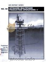 SPE REPRINT SERIES NO.58  OFFSHORE MULTIPHASE PRODUCTION OPERATIONS-Ⅰ  MULTIPHASE FLOW THEORY AND FL     PDF电子版封面  1555631037   