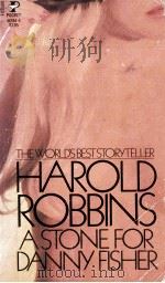 A STONE FOR DANNY FISHER   1979  PDF电子版封面    HAROLD ROBBINS 