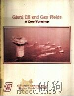 Giant Oil and Gas Fields  A Core Workshop  Volume 2  Organized and Compiled（ PDF版）
