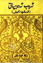 阿拉伯文学简史  维吾尔文（1983 PDF版）