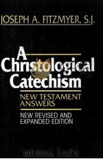 A CHRISTOLOGICAL CATECHISM:NEW TESTAMENT ANSWERS   1991  PDF电子版封面    JOSEPH A.FITZMYER 