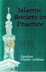 JSLAMIC SOCIETY IN PRACTICE   1994  PDF电子版封面    CAROLYN FLUEHR-LOBBAN 