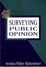 SURVEYING PUBLIC OPINION（1995 PDF版）