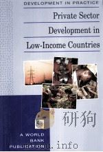 PRIVATE SECTOR DEVELOPMENT IN LOW-INCOME COUNTRIES（1995 PDF版）