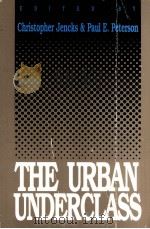THE URBAN UNDERCLASS   1991  PDF电子版封面     