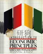 INTRODUCTION TO ECONOMIC PRINCIPLES   1989  PDF电子版封面    RODNEY H.MABRY AND HOLLEY H.UL 
