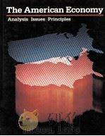 THE AMERICAN ECONOMY:ANALYSIS ISSUES PRINCIPLES SECOND EDITION（1986 PDF版）