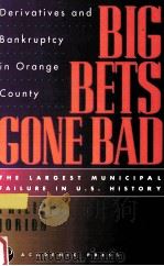BIG BETS GONE BAD:DERIVATIVES AND BANKRUPTCY IN ORANGE COUNTY   1995  PDF电子版封面    PHILIPPE JORION 