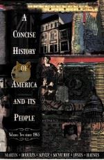 A CONCISE HISTORY OF AMERICA AND ITS PEOPLE VOLUME TWO SINCE 1865   1995  PDF电子版封面    JAMES KIRBY MARTIN AND OTHERS 
