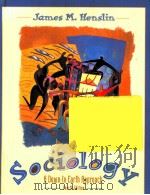 SOCIOLOGY:A DOWN-TO-EARTH APPROACH FOURTH EDITION   1999  PDF电子版封面     