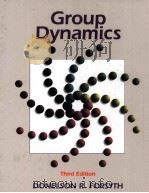 GROUP DYNAMICS THIRD EDITION（1999 PDF版）