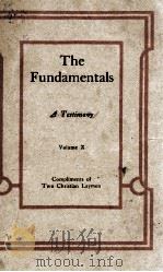 The Fundamentals Volume X     PDF电子版封面     