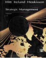 strategic management_competitiveness and globalization edition 7 P428     PDF电子版封面     