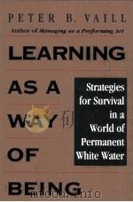 LEARNING AS A WAY OF BEING   1996  PDF电子版封面    PETER B.VAILL 