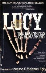 LUCY:THE BEGINNINGS OF HUMANKIND   1981  PDF电子版封面    DONALD C.JOHANSON AND MAITLAND 
